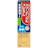 クリーンデンタルプレミアムクールタイプ [医薬部外品] 100g