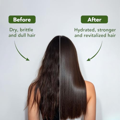 Image of Botanic Hearth Batana Oil Shampoo for Hair Growth & Thickness 16 Fl Oz | Biotin Shampoo | Clarifying for Oily Scalp & Dry Ends | Hydrating for Dry, Frizzy & Curly Hair | Men & Women