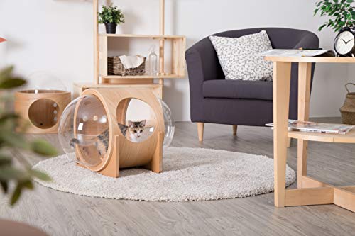 Myzoo Spaceship Alpha, Warm And Cozy Pet Bed For Cat & Dog, Designed Furniture, Made Of Wood (Oak) #TOP4
