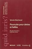 POURSUITE POUR DETTES ET FAILLITTE