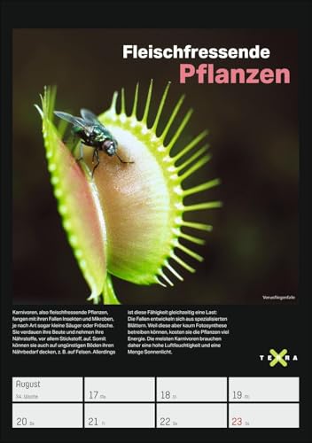Terra X - Das Wunder Erde Wochenplaner 2026: 53 Blatt mit spannenden Naturphänomenen und atemberaubender Landschaftsfotografie. Geheimnisvolle Natur im praktischen Wandplaner (Wochenplaner Harenberg)