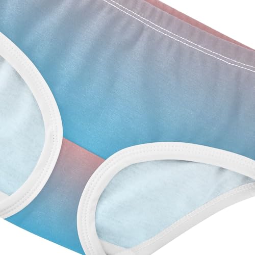 Cotton Toddler Underwear Floral Coral Pink Deep Sky Blue Gradient Panties for Girl Animal Kids Briefs Undies 2t4