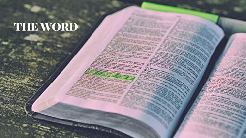 Vencendo o desafio da Rejei&ccedil;&atilde;o