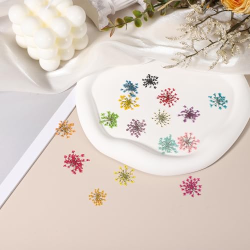 uxcell 24 piezas flores prensadas secas para manualidades miniatura 4