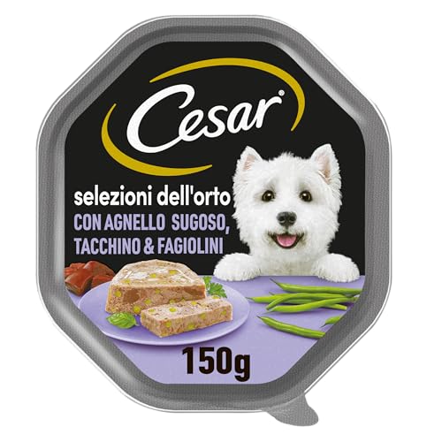 Cesar Selezione dell'Orto Cibo Umido per Cane, con Agnello succoso, Tacchino e Fagioli in Gelatina 150 g - 14 Vaschette
