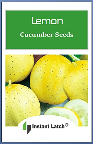 50 Lemon Cucumber Seeds | Non-Gmo | Heirloom | Fresh Garden Seeds #TOP1