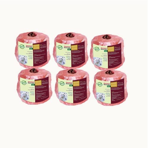 6x Himalayan Animal Horse Lick Natural Pink Salt, Natural shape salt with strong hanging Rope, 0.17 g (Pack of 6)