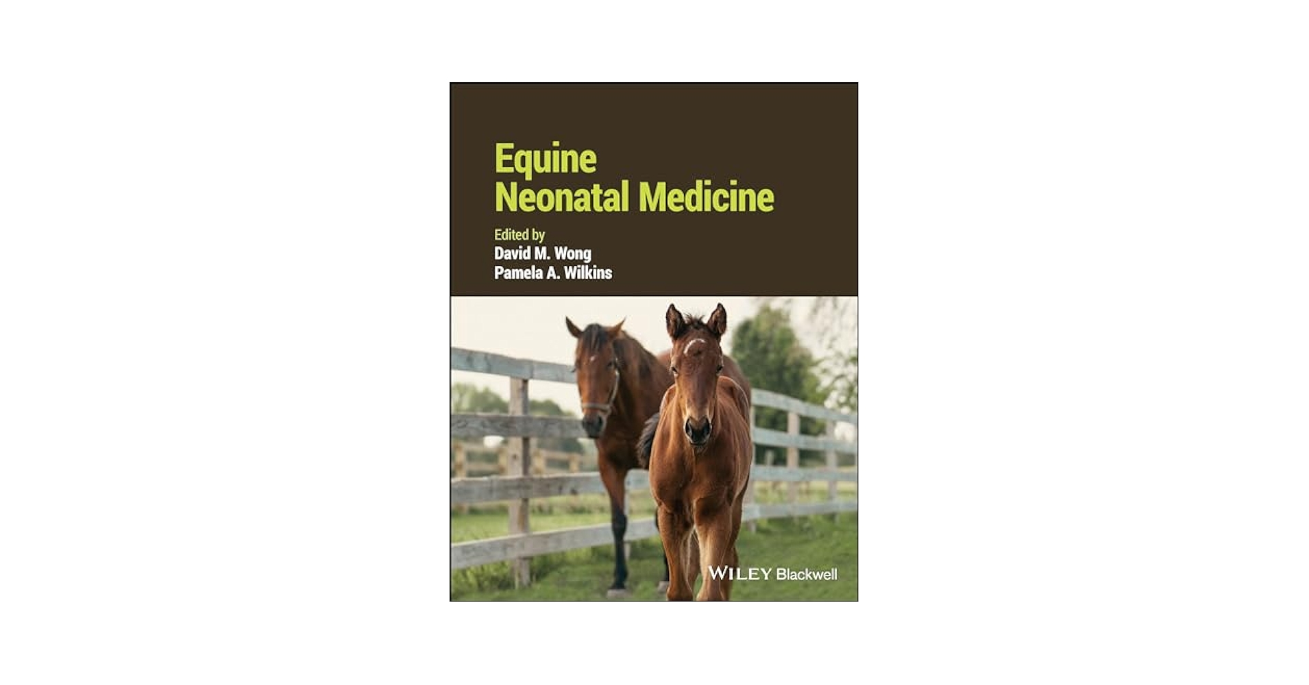 Equine Neonatal Medicine: 9781119617259: Medicine & Health