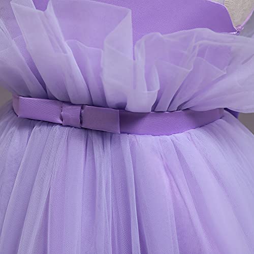 Ttyaovo Baby Girl Birthday Party Tutu Princess Bowknot Dress Wedding Gown 766_C Purple Size(90) 12-24 Months #TOP4
