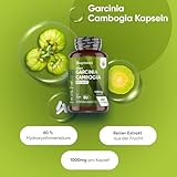 Garcinia Cambogia Test