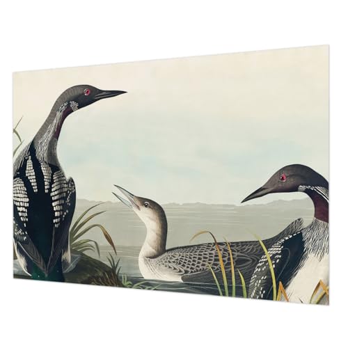 Papier peint intissé 208x146 cm oiseaux au-dessus de l'eau pour salon