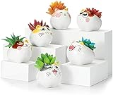 ZAfOSIN Succulent Planter Garden Pots, Small Ceramic Cat Pots with Drainage Holes, Gardening Home Desktop Office Windowsill Decoration Gift Set of 6