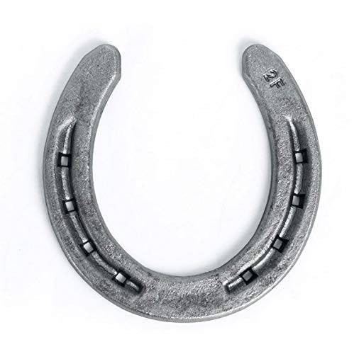 Steel Horseshoes Set for Horses, Crafts, Decorations and Backyard Games - Size 00 - R2-F - Sand Blasted Steel - The Heritage Forge - 40 Shoes