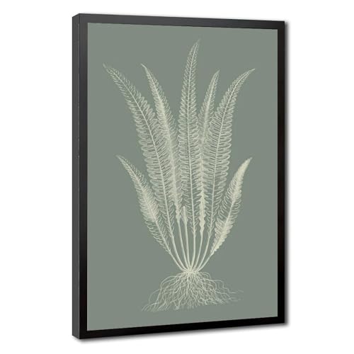 Poster fougère vert sauge 40x61 cm pour décoration murale