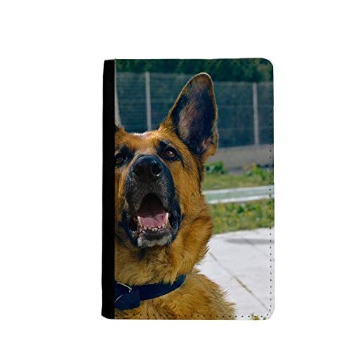 Beau chien avec porte-cartes et passeport en similicuir marron