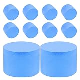 FIXOSHEE 10 Stück Feuchtigkeitsspeichernder Schwammstopfen für Ameisenfarm Reagenzglas Nestschutz...