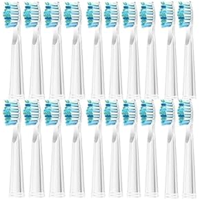 替えブラシ - Amazon.co.jp