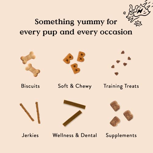 Bocce's Bakery Multivitamin Supplement For Dogs, Multi-Functional Daily Chews Made In The Usa With An Essential Vitamin Blend, Digestion Joint Support, Cheese Honey, 60 Ct #TOP6