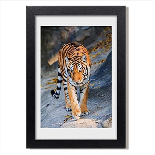 Peinture moderne tigre Tulup 20x30 cm pour habiller un mur vide avec un cadre photo bois