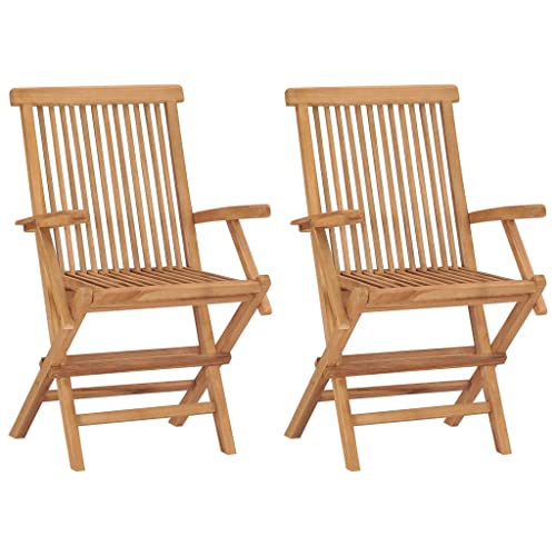 vidaXL 2X Bois de Teck Massif Chaises de Jardin Pliables Fauteuils de Salle à Manger de Terrasse Chaises à Dîner de Patio Fauteuils d'Extérieur