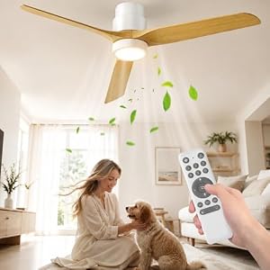 Ateroll – Ateroll 132 CM Deckenventilator mit Beleuchtung und Fernbedi
