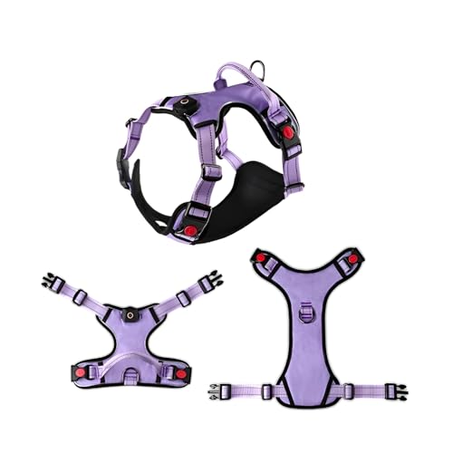 [Bebemax]yybgzUSB[dLED&ˍނŖԈS U/WMOΉ xXg^NbV TCYR ϋv|GXe S퐄