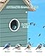 RAINBEAN Bird House with Camera,Nistkasten mit Kamera, 4 Millionen Pixel Outdoor-Vogelhaus-Kamera, Echtzeitbeobachtung des Nestbaus und der Brut von Vögeln, AI-Erkennung des Vogelverhaltens, DIY, Blue
