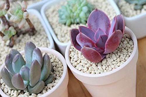 Miniatura 5 de Maceta de plástico de 3 pulgadas, maceta decorativa moderna para jardín y drenar todas las plantas de interior, flores, hierbas, violetas africanas,