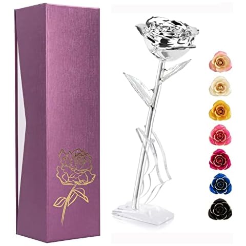 Ejoyous Silver Plated Real Rose Gift Cover