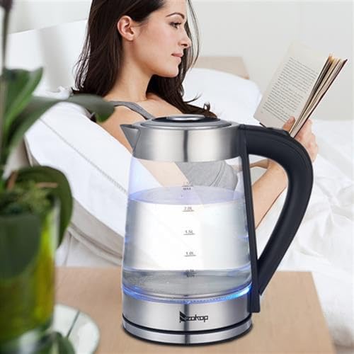Hervidor eléctrico de vidrio con control de temperatura 2.5L miniatura 5
