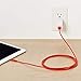 Amazon Basics MFi-Certified Lightning to USB A Cable for Apple iPhone and iPad - 6 Feet (1.8 Meters) - Red