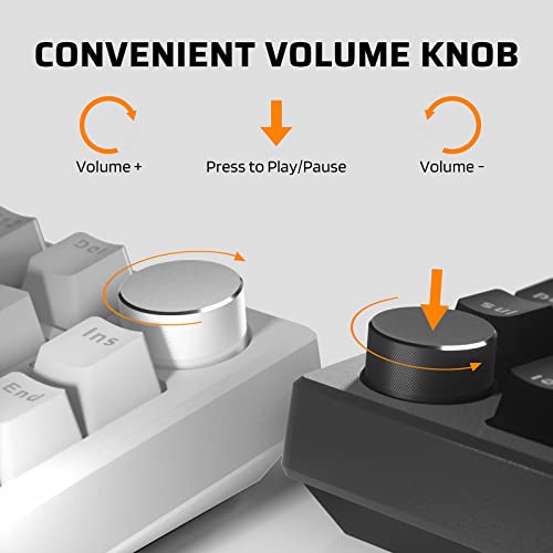 Ltc Nb831 Wireless 75% Triple Mode Bt5.0/2.4G/Usb-C Wired Hot Swappable Mechanical Keyboard, 83-Keys Bluetooth Rgb Compact Gaming Keyboard With Software (Hot Swappable Red Switch, Black) #TOP4