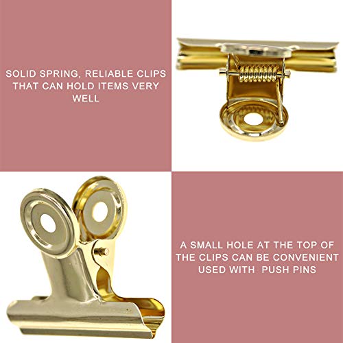 Gold Bull Hinge Paper Clips - Coideal 10 Pack 2 Inch Stainless Steel Large Metal Binder Clips For Pictures Photos, Home Kitchen, Office Supplies (50 Mm) #TOP2