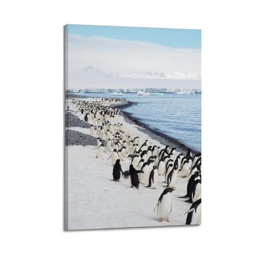 Poster pingouins au bord de la plage koanga 60x90cm pour déco de chambre