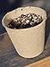 Peat Pots Gardening Accessories, Garden Kits, Gardening Tools, Perfect for Garden Planters, Zen Gardens, Garden Hoses, Perfect for Planter Tray, Window Garden, and Seedlings for Superfood (100 Count)