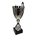 Express Medals 12 Inch Bright Metal Silver Color Trophy Cup - Event, Sport Tournaments, Competitions, Recognition Gift or Award, 12 Inches Tall x 7 Inches Wide at The Handles. AMC321