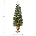 National Tree Company Pre-lit Artificial Tree For Entrances and Christmas| Includes Pre-strung White Lights | Montclair Spruce - 4 ft, Black/Gold