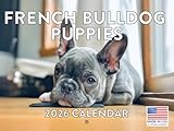 French Bulldog Puppy Calendar 2026 Wall 12 Month Monthly Puppies Frenchie Dog Gifts For Bulldogs Lovers Women Men Calender | American Made In The USA