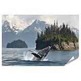 islandburner XXL Bild Poster Wal springt vor schneebedeckten Bergen für Wohnzimmer Naturliebhaber Naturkostladen Premium Bilder Fotodruck