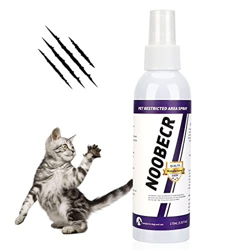 Top 10 Best Cat Pee Deterrent Spray Reviews & Buying Guide Katynel