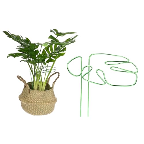 M METERXITY 1-Pack Monstera Plant Support, 11x5.9 Inch Reusable Sturdy Alloy Plant Support Stakes Unique Design for Potted Plants Flowers/Vegetables/Indoor Outdoor Climbing Plants [Green]