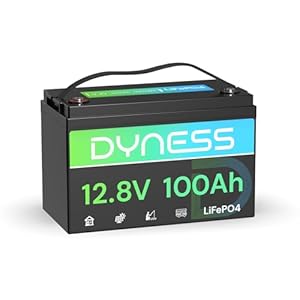 Dyness Lithium Batterie 12V 100Ah LiFePO4 Akku mit 100A BMS, Niedertemperatur-Abschaltung, Max 15000 Zyklen, 1280Wh Lithium Deep Cycle Solarbatterie für Wohnwagen, Camping, Solar Home Systeme, Boote