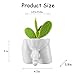 Body Vases for Decor Penis Planter Cool Decor Pot, Male Plant Pots — Body Vase Christmas Valentine's Day Gift Unique Planter (White, L)