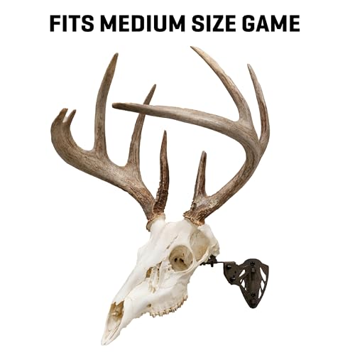 Allen Company EZ Mount Trophy Skull Hanger, Brown by AC Allen - Image 5