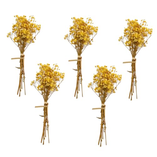 Ramo de 5 flores de Gypsophila secas para decoración miniatura 1