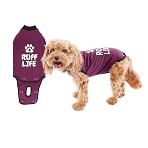 BellyGuard – Dog Recovery Suit, Post Surgery Dog Onesie for Male and Female Dogs, Comfortable Cone Alternative for Large and Small Dogs, Soft Cotton Covers Wound, Stitches. Patented Easy Potty System.