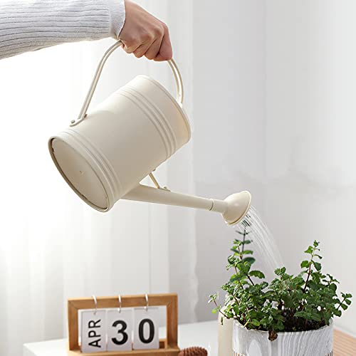 Long Spout Plant Watering Can 1/2 Gallon, Small Plastic Indoor Plant Watering Can For Outdoor Plants, Houseplant Bonsai Watering Can Outdoor, Watering Pot For Plants(68Oz Ivory) #TOP2