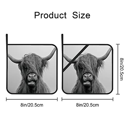 Highland Cow Pot Holders Set Of 2 Kitchen Heat Resistant Potholder For Microwave Cooking Baking Oven End Dishes And Bbq #TOP1