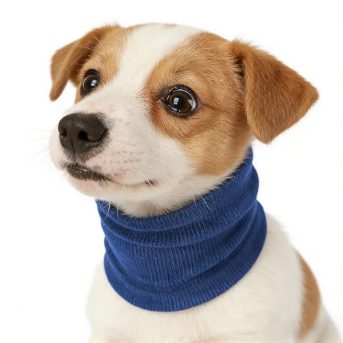 Wcawnlt Bandeau Chien Oreille, Snood Apaisant et Anti-Bruit pour Petit Chien, Taille S Bleu, Tour de Tête 25–41 cm, Protection Chaude et Confortable Contre...