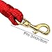 Horse Lead Rope, Double Braided Nylon Lead Line, Lead Rope for Horses with Quick Halter Attachment, Soft Comfort Grip, Barn Horse Tack for Daily Use & Showing (1/2
